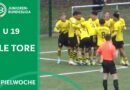 VIDEO: Tor und Assist von Hoffenheim-Toptalent Micheler